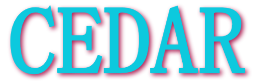 Kök & hem – praktiska favoriter för hela familjen